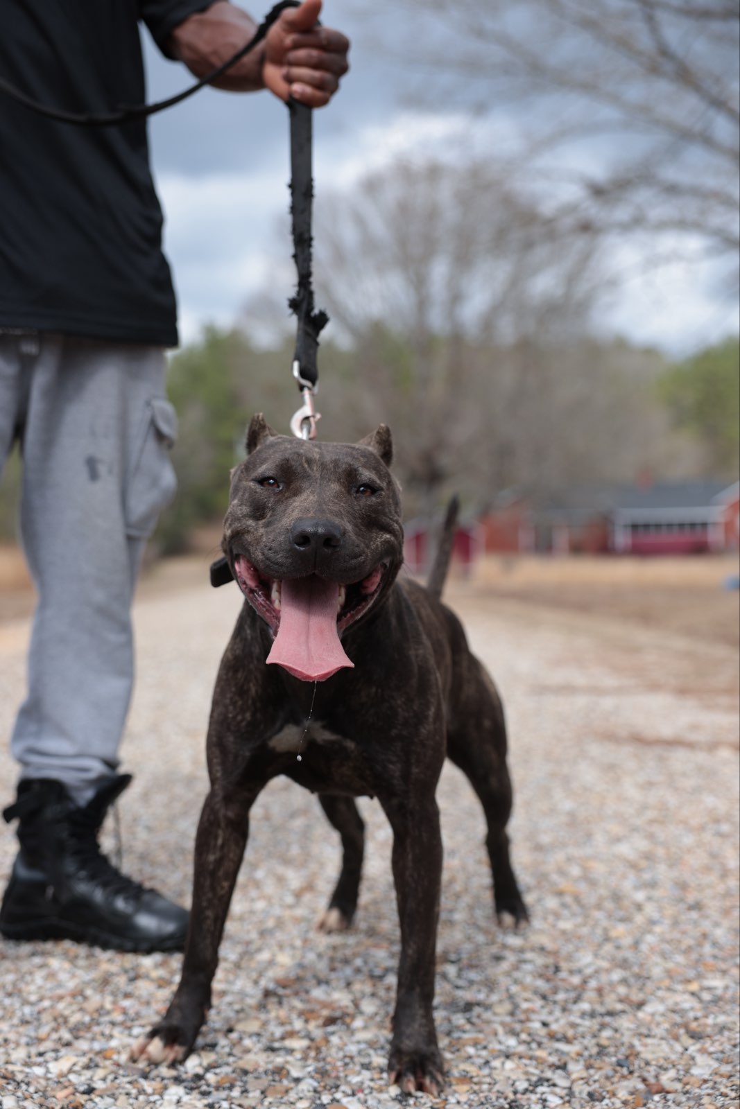 Catch Guard Megiddo breeding facility