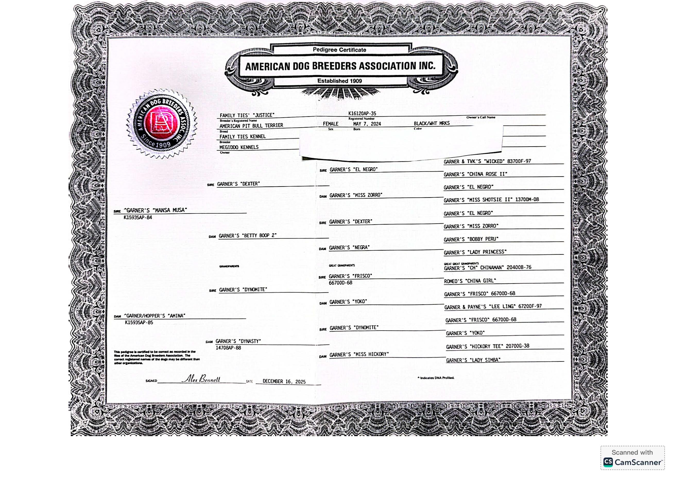Family Ties' Justice ADBA Pedigree Certificate — click to view full size